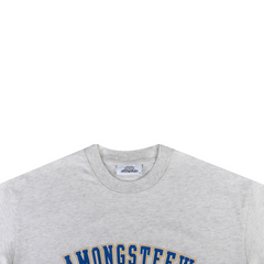 Varsity T-Shirt - Grey
