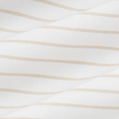 Oxford Script Shirt - Beige/White