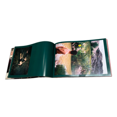 Issue 01: The Faultline