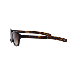 SAMMYS - Dark Tortoise / Brown Gradient Lens