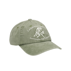 Lake 6-Panel Cap - Dark Green